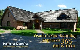 Bębnikąt Osada Leśna Puszcza Notecka